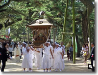 2007年 津田の秋祭りの模様 ～御神輿～ の写真⑦