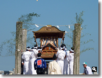 2009年津田の秋祭り 御神輿 の写真④