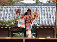 2013年 津田石清水神社 秋季例大祭 奉納舞 菊づくしの写真