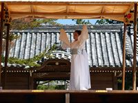 2013年 津田石清水神社 秋季例大祭 奉納舞 鶴むすめの写真
