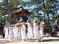 2013年 津田石清水神社 秋季例大祭 御輿の写真⑥