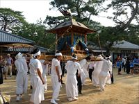 2016年 津田石清水神社 秋季例大祭 神輿の写真
