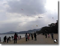 第13回津田の松原凧揚げ大会 の写真⑥
