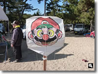 第16回津田の松原凧揚げ大会 の写真⑩