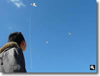 第16回津田の松原凧揚げ大会 の写真⑮