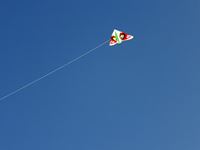 第20回津田の松原凧揚げ大会「凧揚げ」の写真⑥