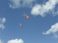 第25回津田の松原凧揚げ大会「凧」の写真⑦