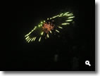 2008年 津田まつり 打ち上げ花火 の写真⑦